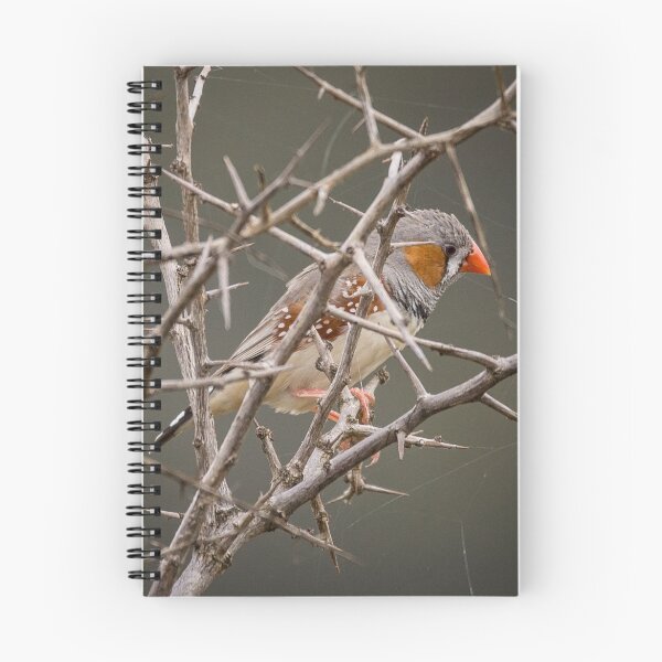 Item preview, Zebra Finch designed and sold by Withns.