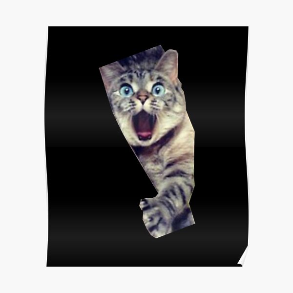 Sneaky Cat Posters Redbubble