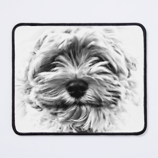 Item preview, Cockapoo-dle-doo designed and sold by tobyjrobinson.