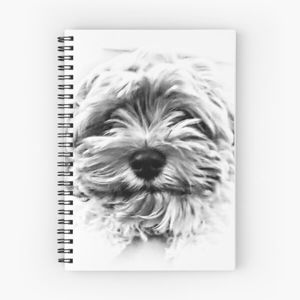 Item preview, Cockapoo-dle-doo designed and sold by tobyjrobinson.