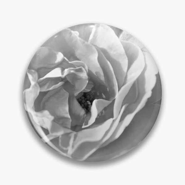 Item preview, Black and White Rose designed and sold by Darby Sauer.