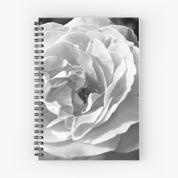 Item preview, Black and White Rose designed and sold by Darby Sauer.
