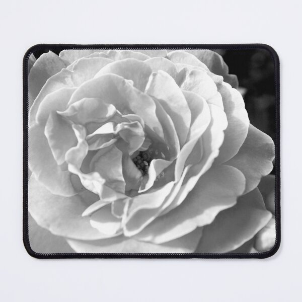Item preview, Black and White Rose designed and sold by Darby Sauer.