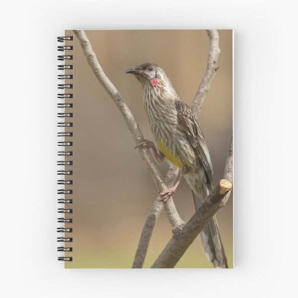 Item preview, Red Throated Wattle Bird designed and sold by David  Hibberd.