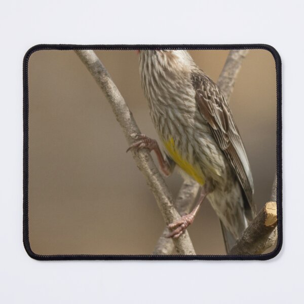 Item preview, Red Throated Wattle Bird designed and sold by David  Hibberd.