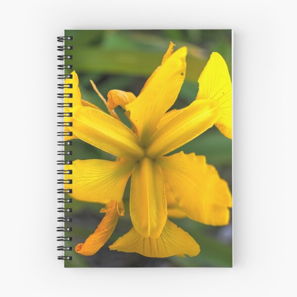 Item preview, La flor designed and sold by Dean Wiles.