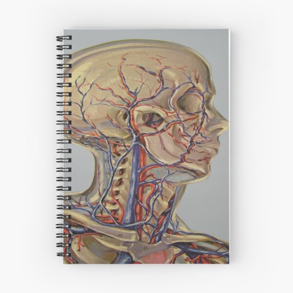 Item preview, Circulatory System Ahead designed and sold by Chriphlp.