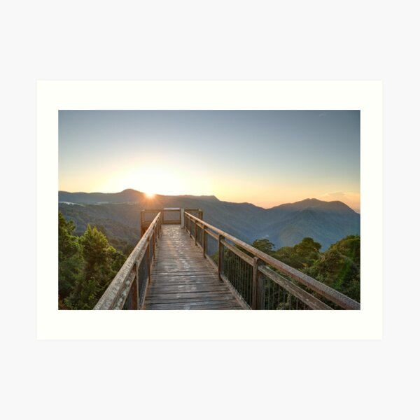Sunrise at the Dorrigo Skywalk Art Print
