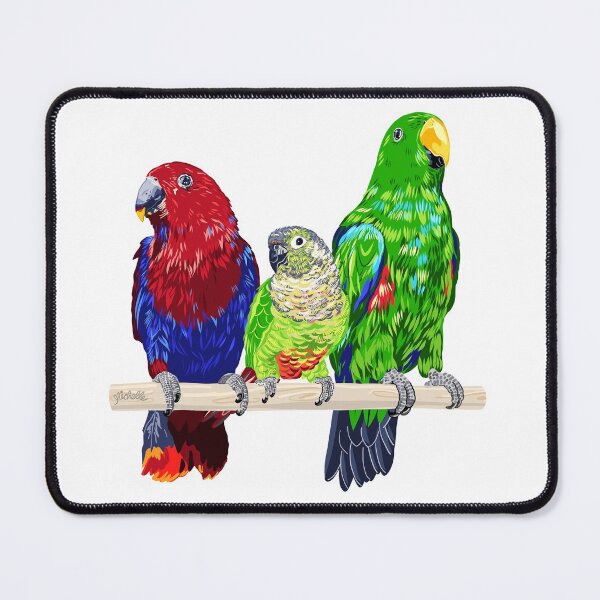 Item preview, 3 Parrots designed and sold by Michelle Phong.