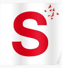 Typography, Font, S, Alphabet, Letter Poster