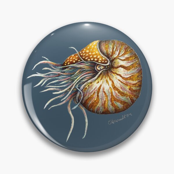 Artikelvorschau, Nautilus (grau) entworfen und verkauft von artofealain.