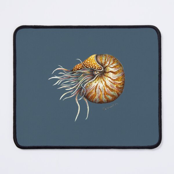 Item preview, Nautilus (grey) designed and sold by artofealain.
