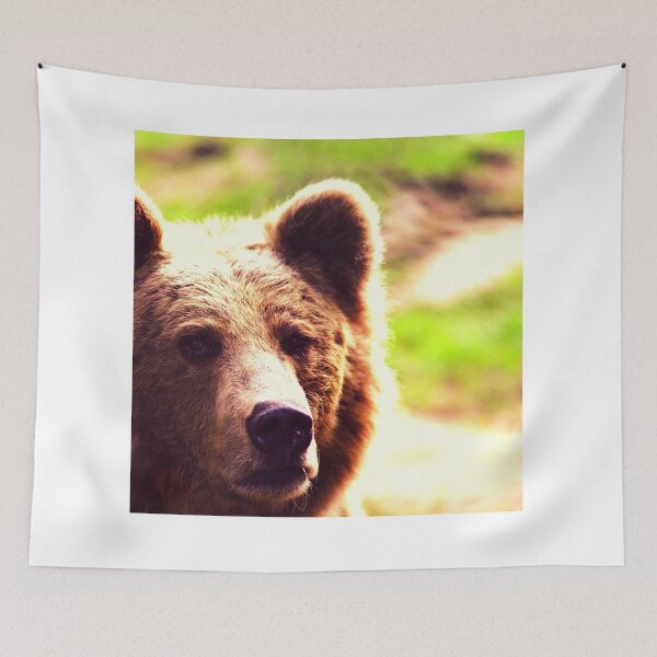 Item preview, bear photo with high resolution quality designed and sold by Allyouneed-2.