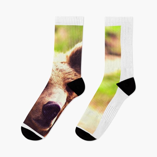 Item preview, bear photo with high resolution quality designed and sold by Allyouneed-2.
