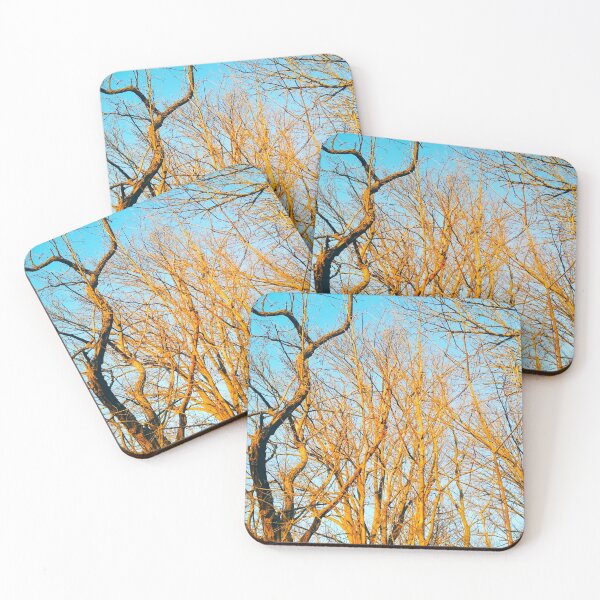 Item preview, Bare winter trees twisting and bending against the background of the blue cloudless sky  designed and sold by helenkaiy.