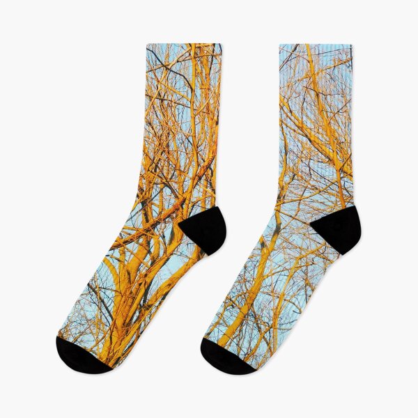 Item preview, Bare winter trees twisting and bending against the background of the blue cloudless sky  designed and sold by helenkaiy.