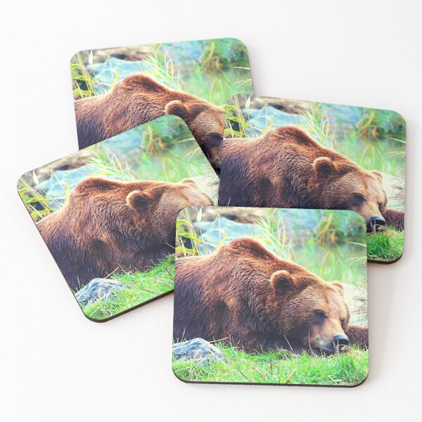 Item preview, bear photo with high resolution quality designed and sold by Allyouneed-2.