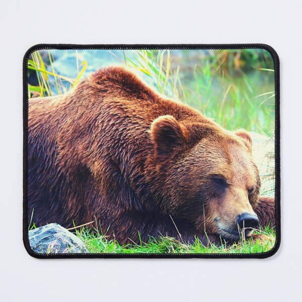 Item preview, bear photo with high resolution quality designed and sold by Allyouneed-2.