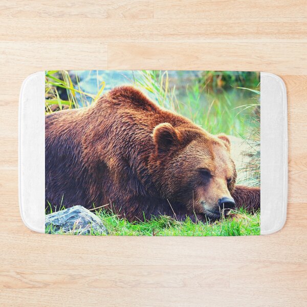 Item preview, bear photo with high resolution quality designed and sold by Allyouneed-2.
