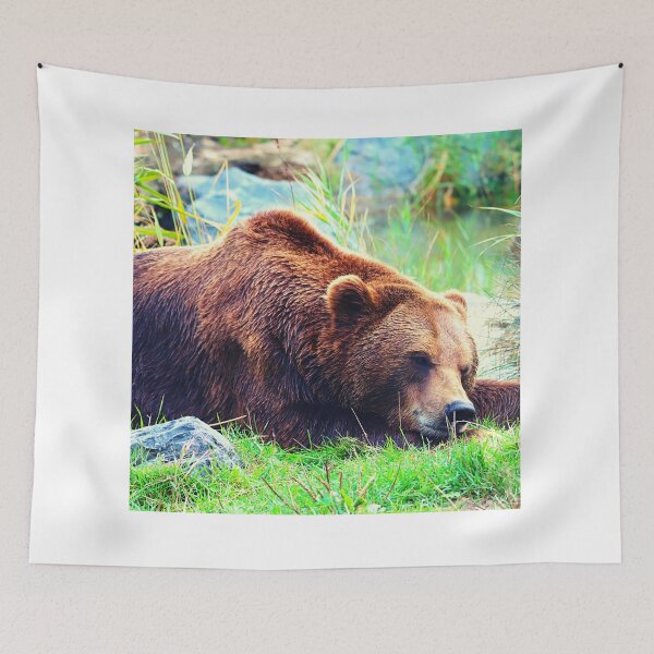 Item preview, bear photo with high resolution quality designed and sold by Allyouneed-2.