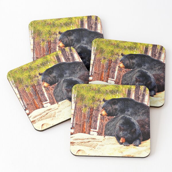 Item preview, bear photo with high resolution quality designed and sold by Allyouneed-2.