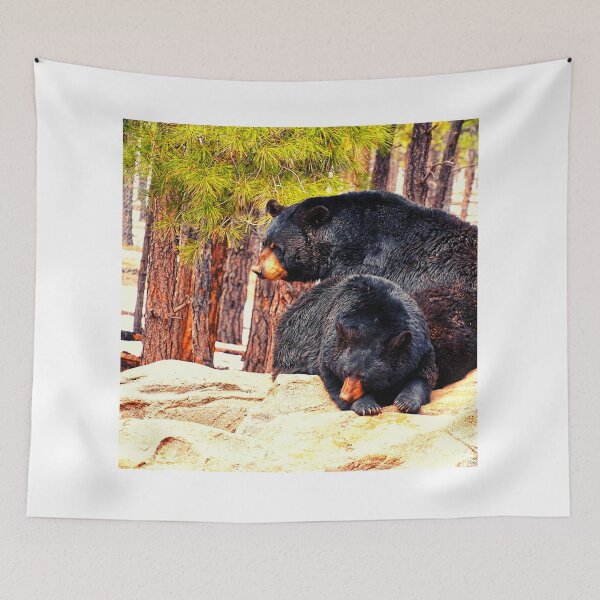 Item preview, bear photo with high resolution quality designed and sold by Allyouneed-2.
