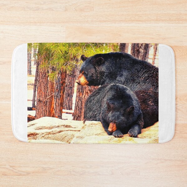 Item preview, bear photo with high resolution quality designed and sold by Allyouneed-2.