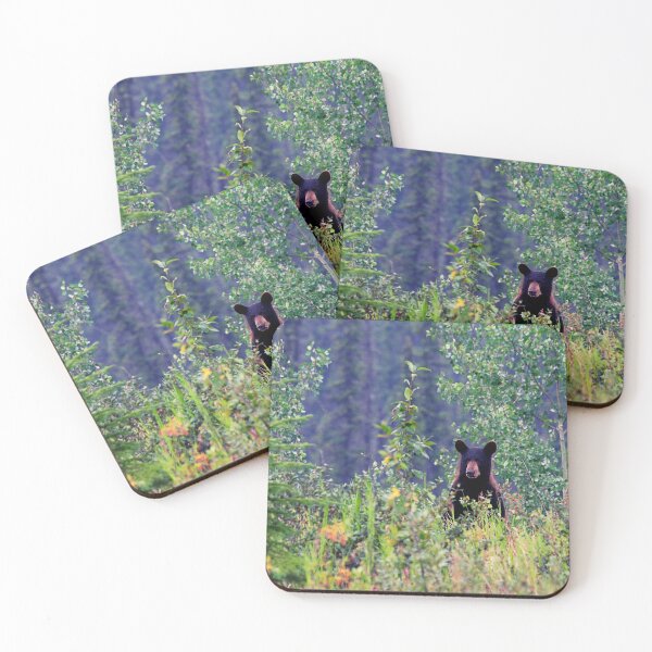 Item preview, bear photo with high resolution quality designed and sold by Allyouneed-2.