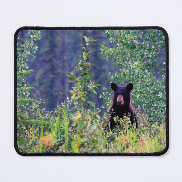 Item preview, bear photo with high resolution quality designed and sold by Allyouneed-2.
