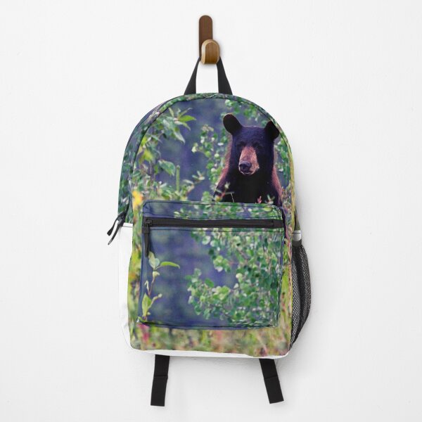 Item preview, bear photo with high resolution quality designed and sold by Allyouneed-2.