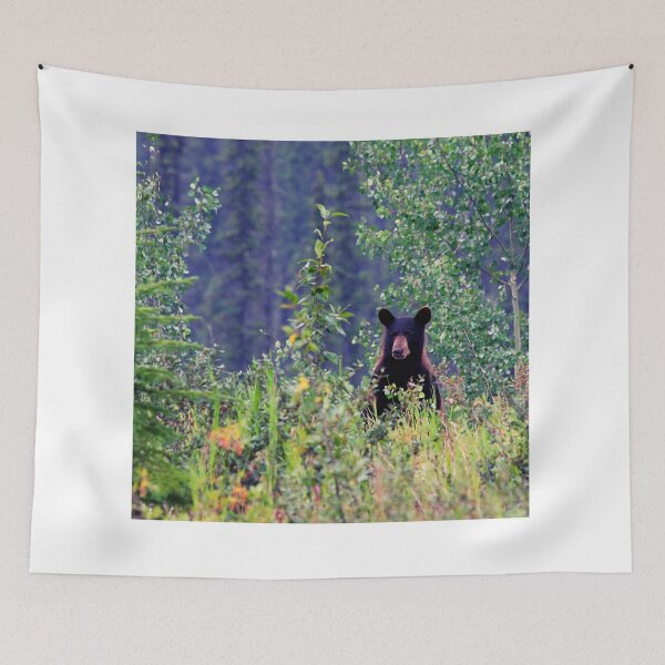 Item preview, bear photo with high resolution quality designed and sold by Allyouneed-2.