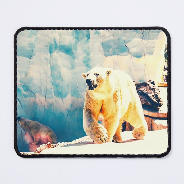 Item preview, bear photo with high resolution quality designed and sold by Allyouneed-2.