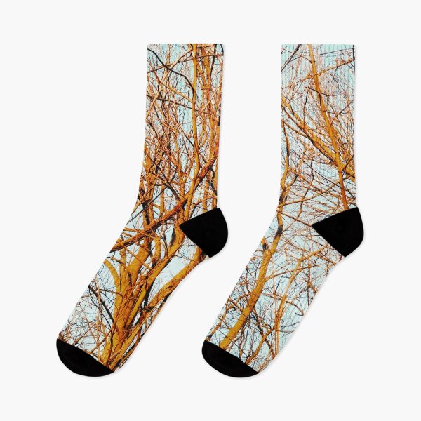 Item preview, Bare winter trees twisting and bending against the background of the blue cloudless sky  designed and sold by helenkaiy.