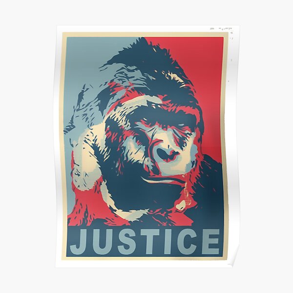 "harambe" Poster for Sale by josiefiona22 Redbubble