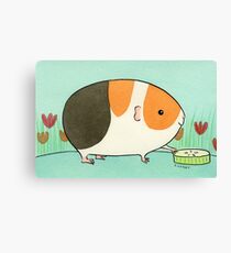Tri-Color Guinea-pig with a Slice of Cucumber Canvas Print