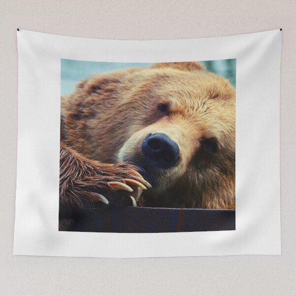Item preview, bear photo with high resolution quality designed and sold by Allyouneed-2.