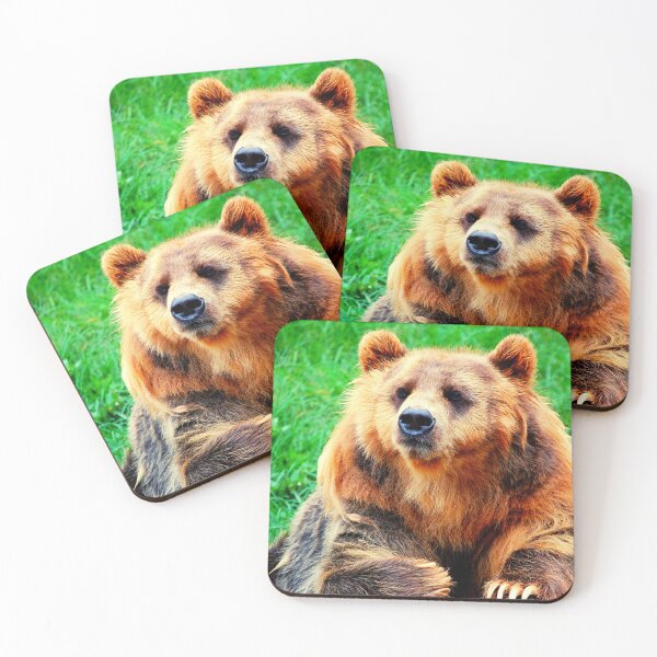 Item preview, bear photo with high resolution quality designed and sold by Allyouneed-2.