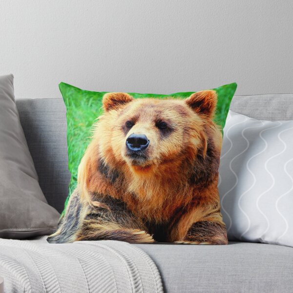 Item preview, bear photo with high resolution quality designed and sold by Allyouneed-2.