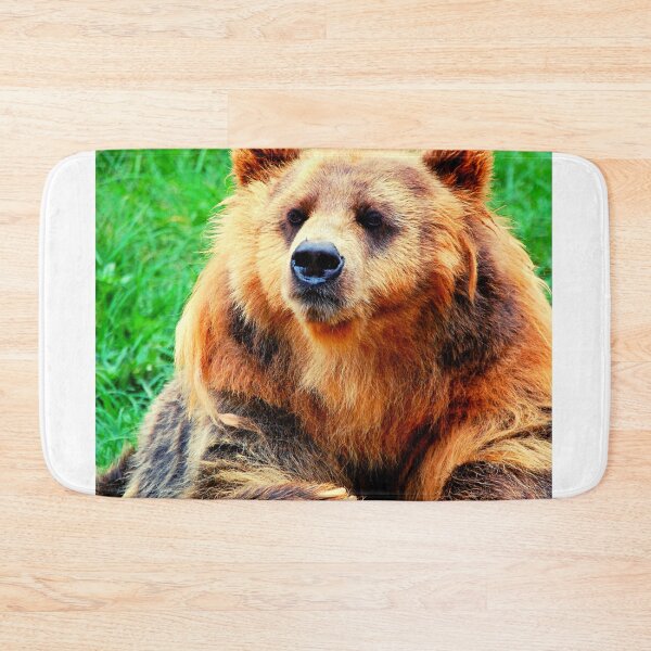 Item preview, bear photo with high resolution quality designed and sold by Allyouneed-2.