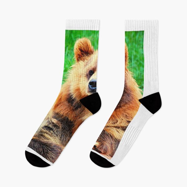 Item preview, bear photo with high resolution quality designed and sold by Allyouneed-2.