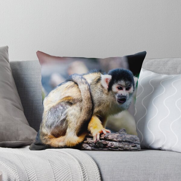 Item preview, Common squirrel monkey designed and sold by troianifabrizio.