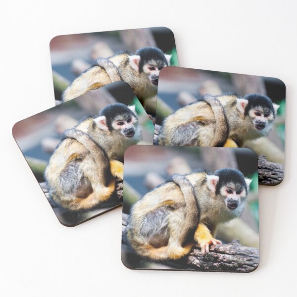 Item preview, Common squirrel monkey designed and sold by troianifabrizio.