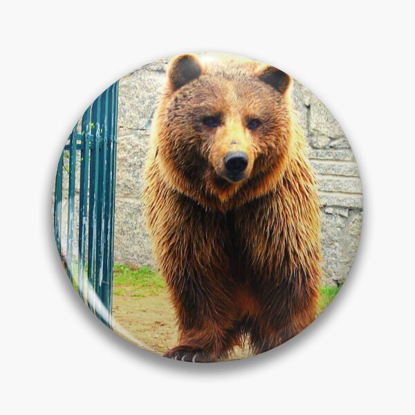 Item preview,  bear photo with high resolution quality designed and sold by Allyouneed-2.