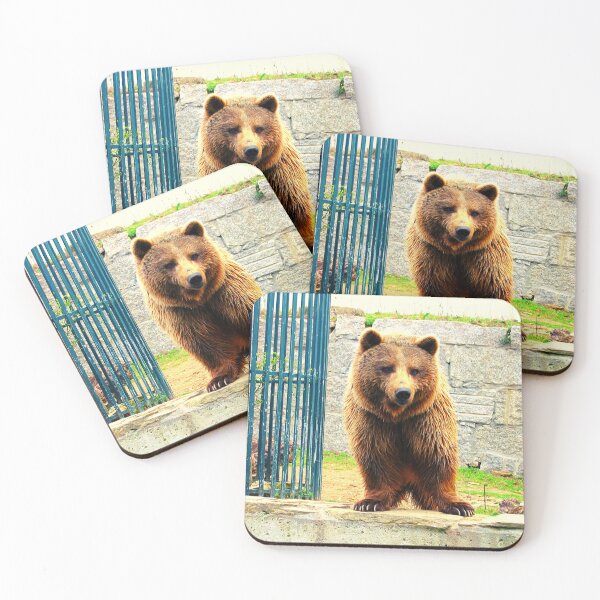 Item preview,  bear photo with high resolution quality designed and sold by Allyouneed-2.