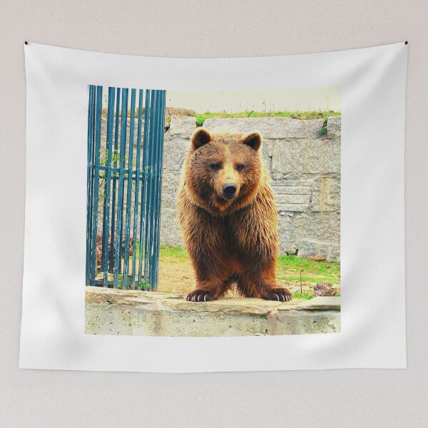 Item preview,  bear photo with high resolution quality designed and sold by Allyouneed-2.