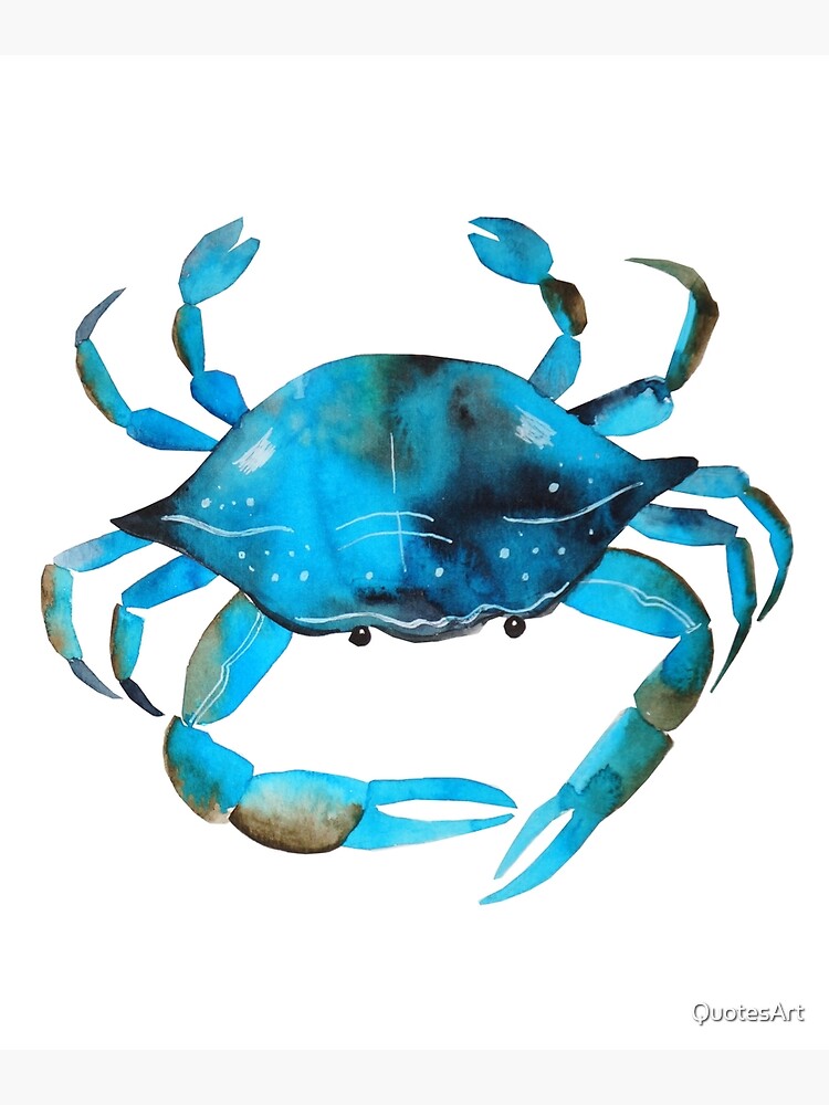 Disover Crab Watercolor, Blue Crab Graphic Premium Matte Vertical Poster