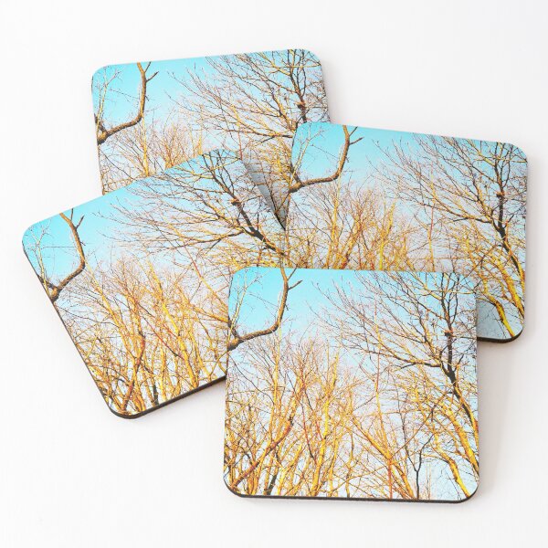 Item preview, Bare winter trees twisting and bending against the background of blue cloudless sky designed and sold by helenkaiy.