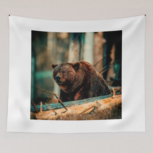 Item preview, bear photo with high resolution quality designed and sold by Allyouneed-2.