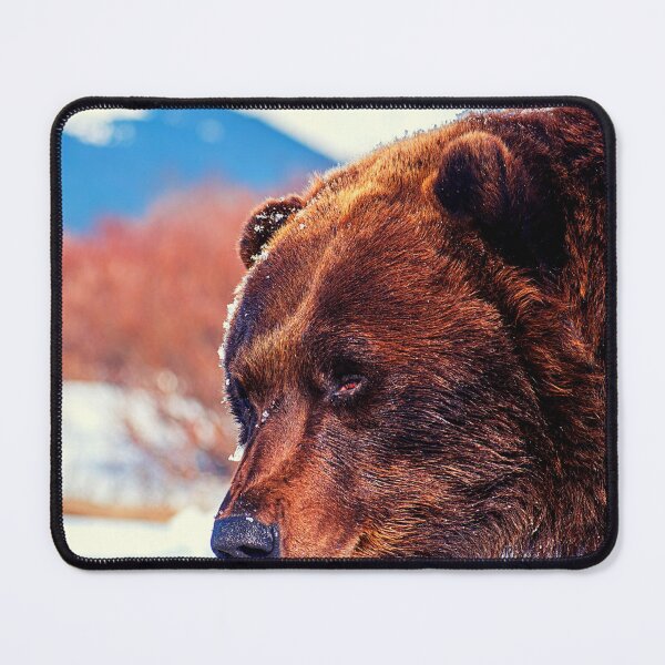 Item preview, bear photo with high resolution quality designed and sold by Allyouneed-2.