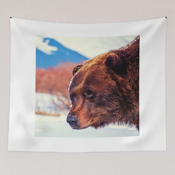 Item preview,  bear photo with high resolution quality designed and sold by Allyouneed-2.
